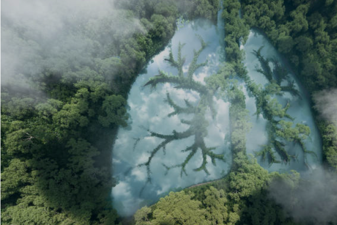 達文西微創胸腔鏡手術